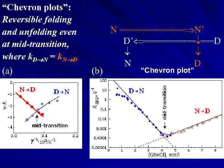 “Chevron plots”: Reversible folding and unfolding even at mid-transition, where k. D N =
