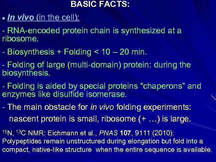 BASIC FACTS: In vivo (in the cell): - RNA-encoded protein chain is synthesized at