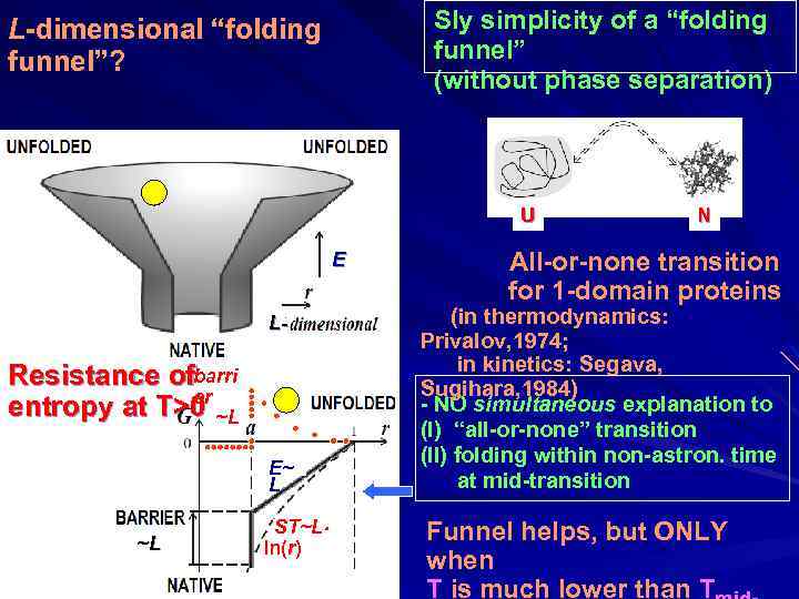 Sly simplicity of a “folding funnel” (without phase separation) L-dimensional “folding funnel”? U E