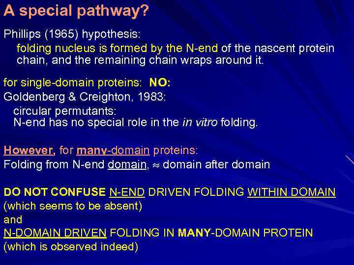 A special pathway? Phillips (1965) hypothesis: folding nucleus is formed by the N-end of