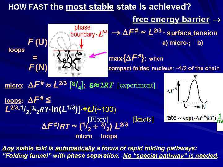 L HOW FAST the most stable state is achieved? free energy barrier loops micro: