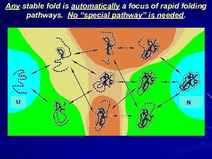 Any stable fold is automatically a focus of rapid folding pathways. No “special pathway”