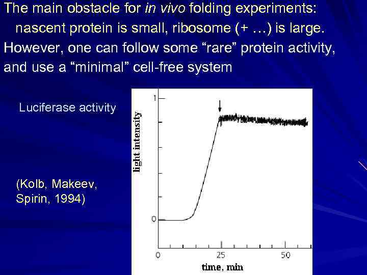 The main obstacle for in vivo folding experiments: nascent protein is small, ribosome (+