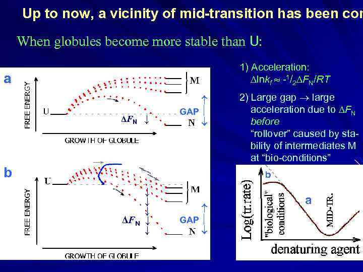 Up to now, a vicinity of mid-transition has been con When globules become more