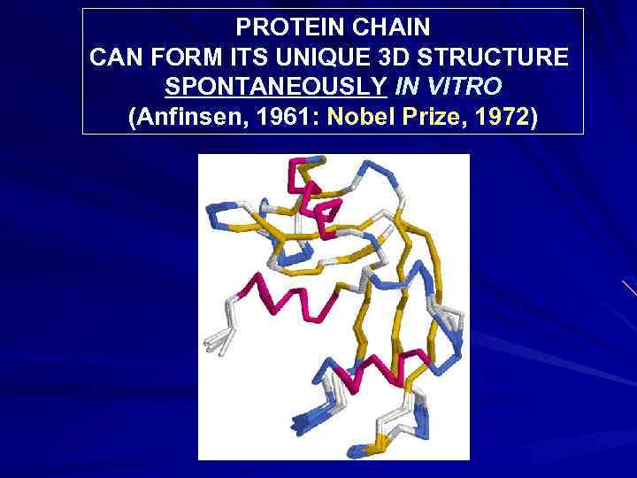 PROTEIN CHAIN CAN FORM ITS UNIQUE 3 D STRUCTURE SPONTANEOUSLY IN VITRO (Anfinsen, 1961: