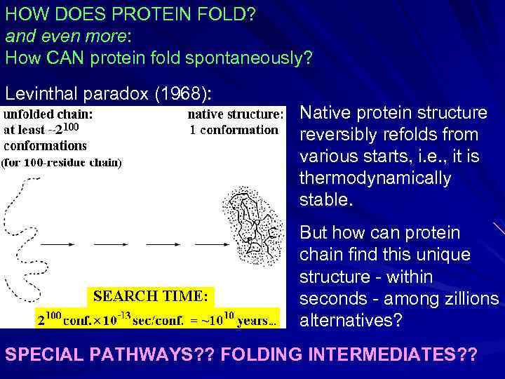 HOW DOES PROTEIN FOLD? and even more: How CAN protein fold spontaneously? Levinthal paradox