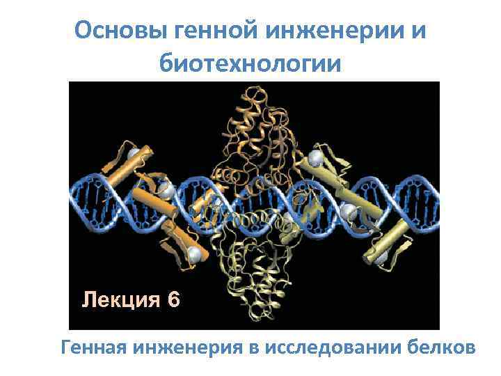 Основы генной инженерии и биотехнологии Лекция 6 Генная инженерия в исследовании белков 