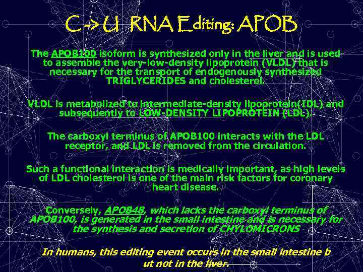 C -> U RNA Editing: APOB The APOB 100 isoform is synthesized only in