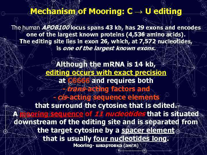 Mechanism of Mooring: C → U editing The human APOB 100 locus spans 43