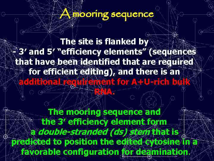 A mooring sequence The site is flanked by - 3′ and 5′ “efficiency elements”