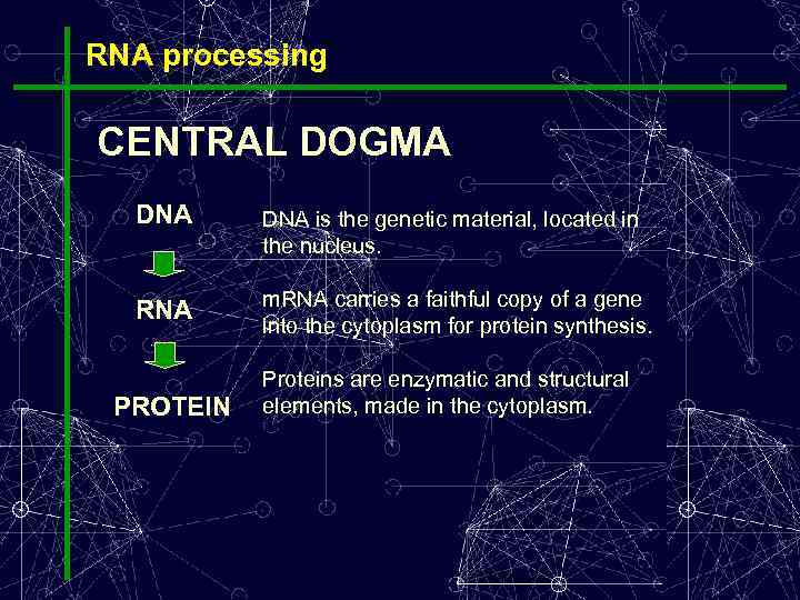 RNA processing CENTRAL DOGMA DNA is the genetic material, located in the nucleus. RNA