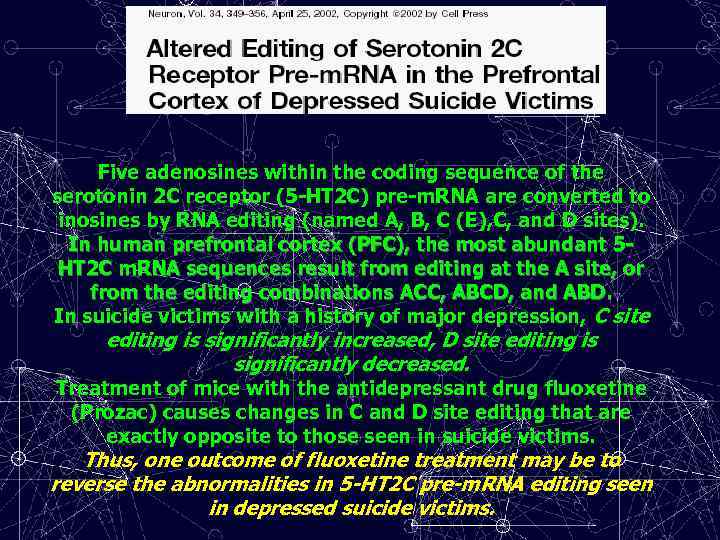 Five adenosines within the coding sequence of the serotonin 2 C receptor (5 -HT