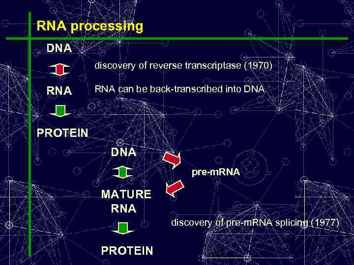 RNA processing DNA discovery of reverse transcriptase (1970) RNA can be back-transcribed into DNA