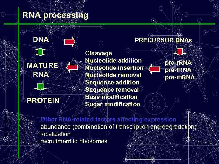 RNA processing DNA MATURE RNA PROTEIN PRECURSOR RNAs Cleavage Nucleotide addition Nucleotide insertion Nucleotide