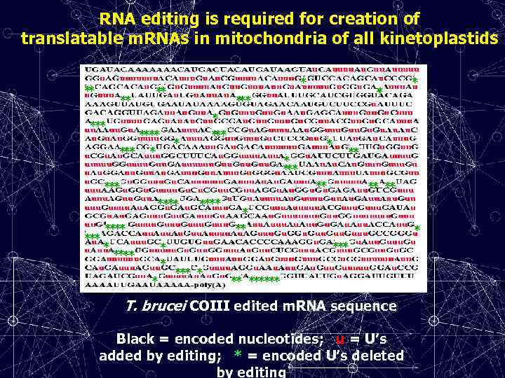 RNA editing is required for creation of translatable m. RNAs in mitochondria of all