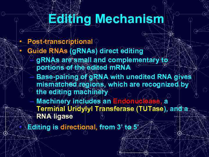 Editing Mechanism • Post-transcriptional • Guide RNAs (g. RNAs) direct editing – g. RNAs