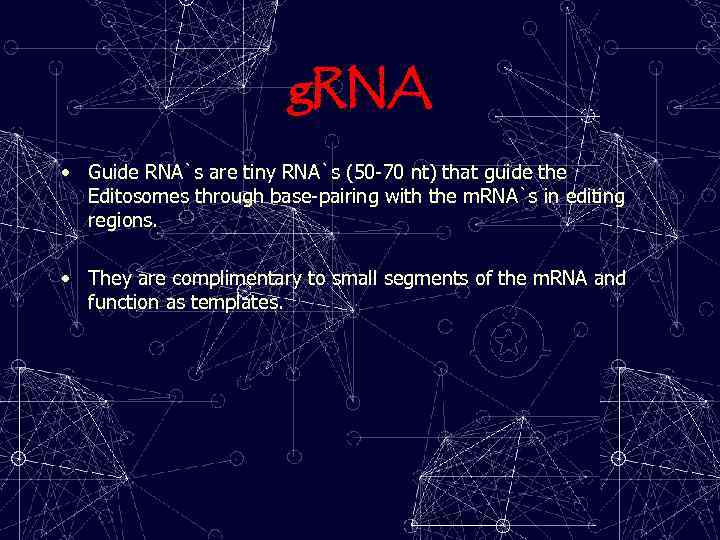 g. RNA • Guide RNA`s are tiny RNA`s (50 -70 nt) that guide the