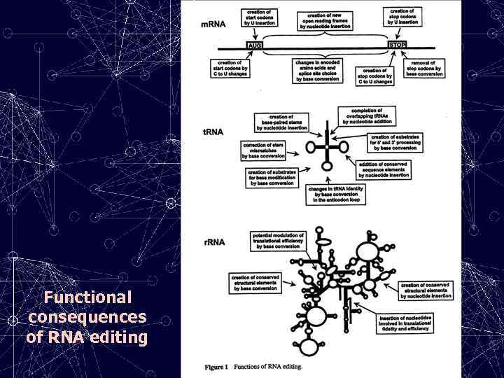 Functional consequences of RNA editing 