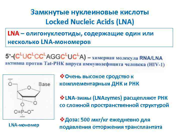 Замкнутые нуклеиновые кислоты Locked Nucleic Acids (LNA) LNA – олигонуклеотиды, содержащие один или несколько