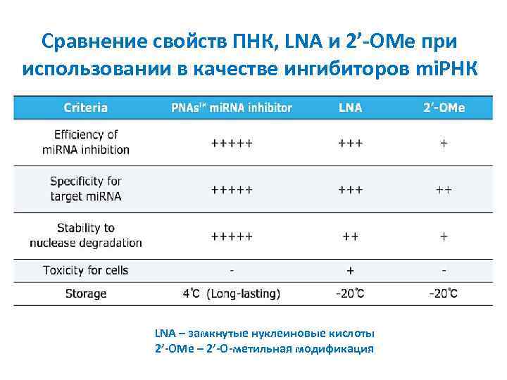 Сравнение свойств ПНК, LNA и 2’-OMe при использовании в качестве ингибиторов mi. РНК LNA