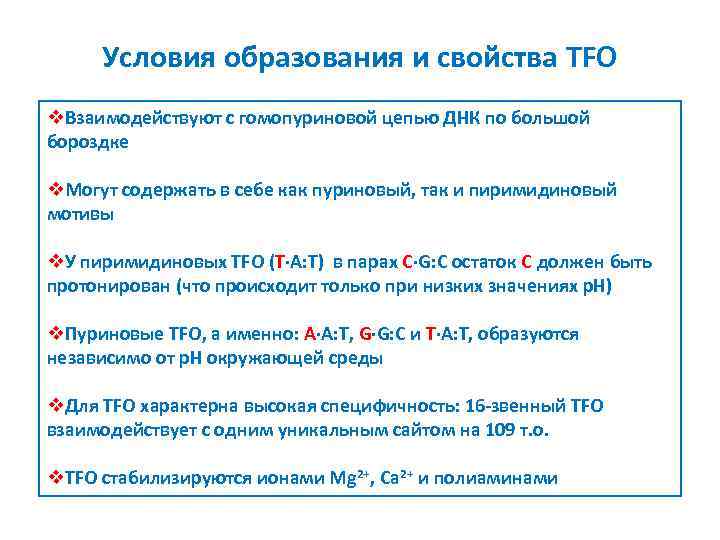 Условия образования и свойства TFO v. Взаимодействуют с гомопуриновой цепью ДНК по большой бороздке