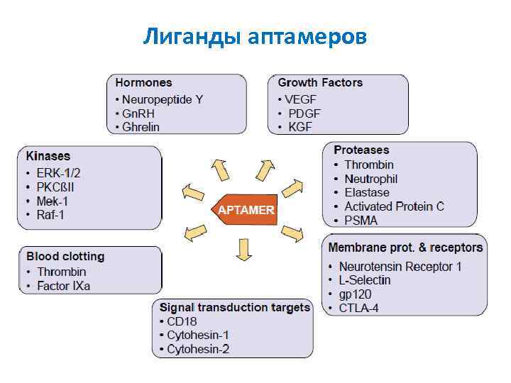 Лиганды аптамеров 