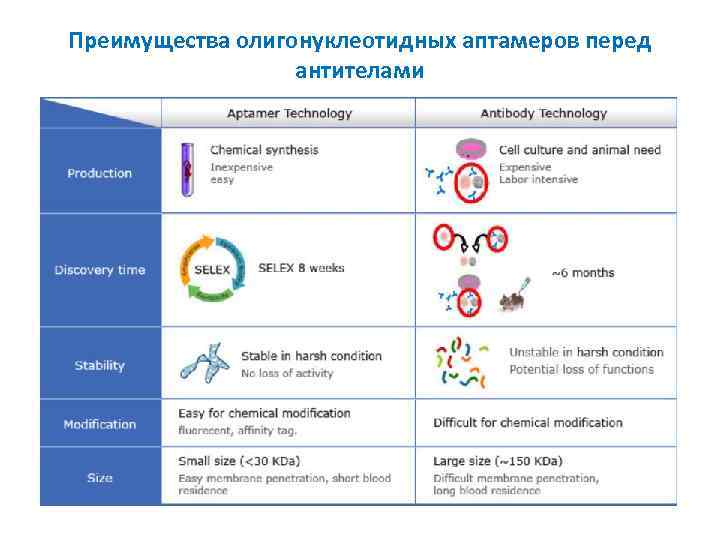 Преимущества олигонуклеотидных аптамеров перед антителами 