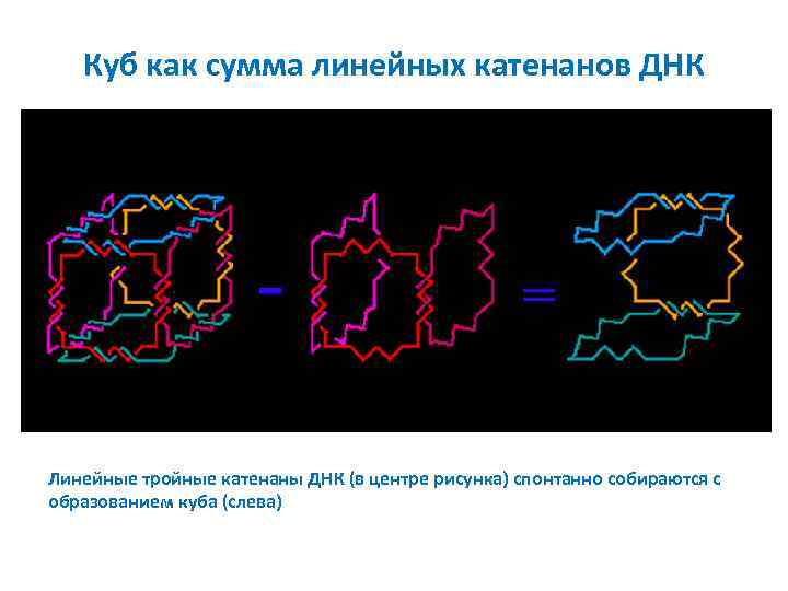 Куб как сумма линейных катенанов ДНК Линейные тройные катенаны ДНК (в центре рисунка) спонтанно