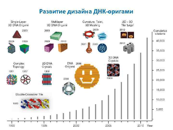 Развитие дизайна ДНК-оригами 