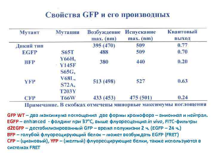 GFP WT – два максимума поглощения две формы хромофора – анионная и нейтрал. EGFP