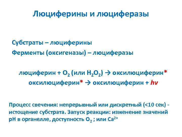 Люциферины и люциферазы Субстраты – люциферины Ферменты (оксигеназы) – люциферазы люциферин + O 2