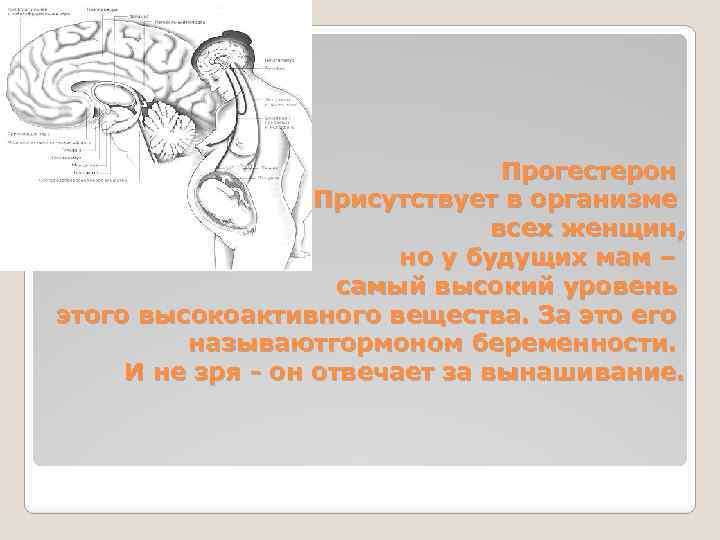 Прогестерон Присутствует в организме всех женщин, но у будущих мам – самый высокий уровень