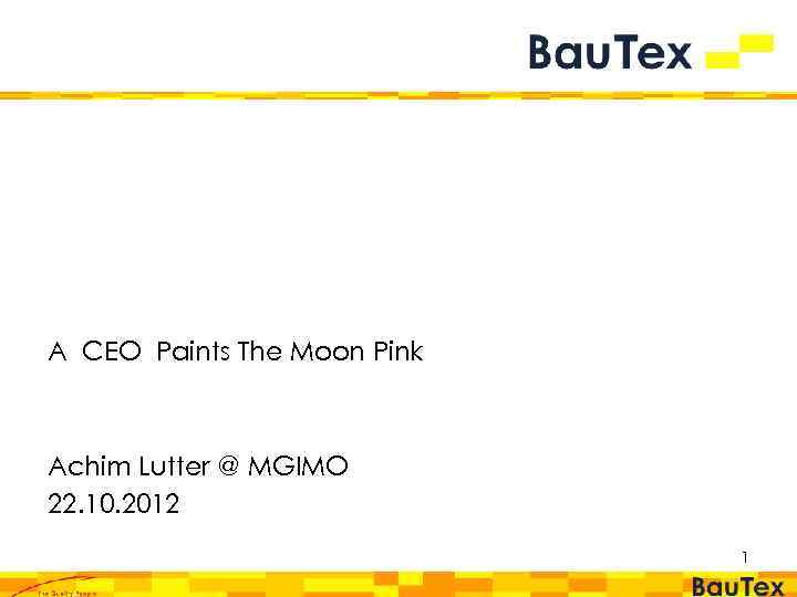 A CEO Paints The Moon Pink Achim Lutter @ MGIMO 22. 10. 2012 1