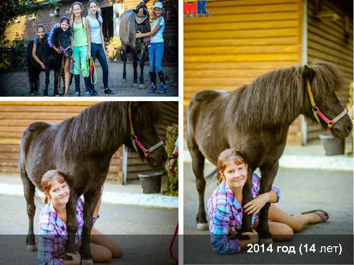 2014 год (14 лет) 