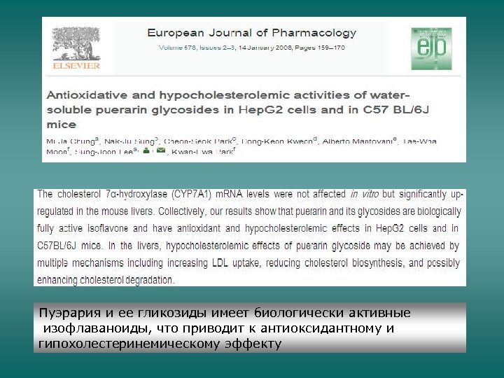 Пуэрария и ее гликозиды имеет биологически активные изофлаваноиды, что приводит к антиоксидантному и гипохолестеринемическому