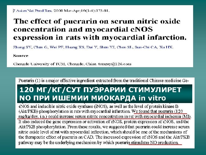 120 МГ/КГ/СУТ ПУЭРАРИИ СТИМУЛИРЕТ NO ПРИ ИШЕМИИ МИОКАРДА in vitro 