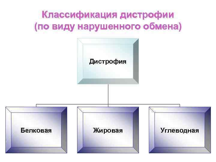 Блок схема дистрофия бжу