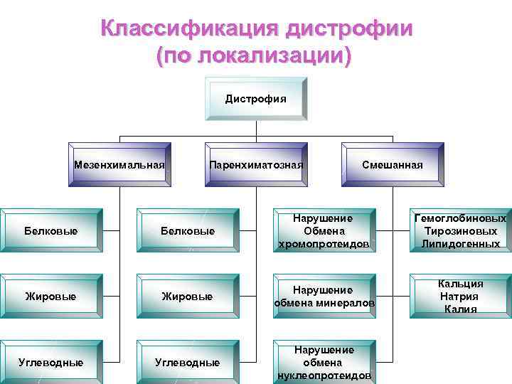 Схема паренхиматозные дистрофии классификация по виду обмена веществ