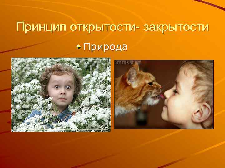 Принцип открытости- закрытости Природа 