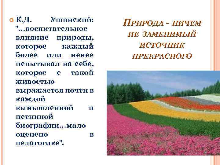  К. Д. Ушинский: 