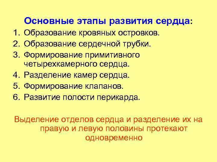 Основные этапы развития сердца: 1. Образование кровяных островков. 2. Образование сердечной трубки. 3. Формирование