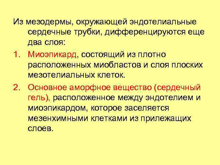 Из мезодермы, окружающей эндотелиальные сердечные трубки, дифференцируются еще два слоя: 1. Миоэпикард, состоящий из