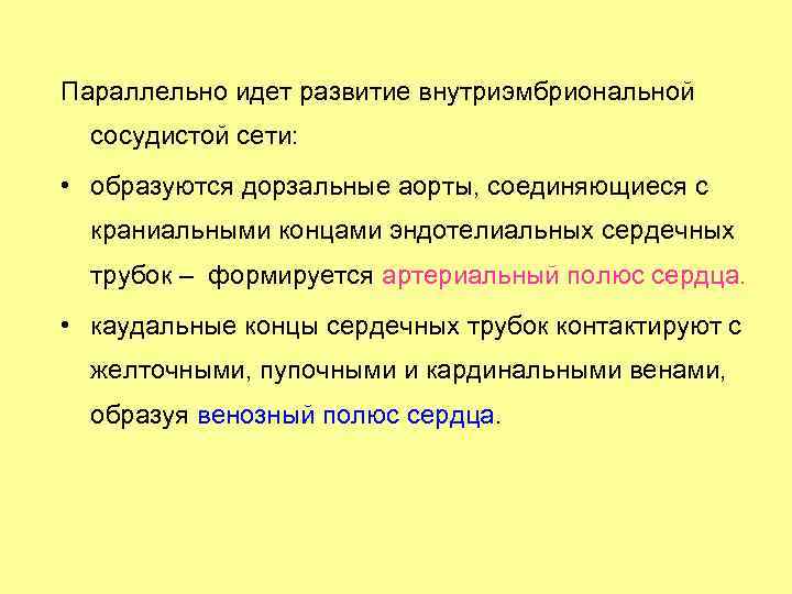 Параллельно идет развитие внутриэмбриональной сосудистой сети: • образуются дорзальные аорты, соединяющиеся с краниальными концами