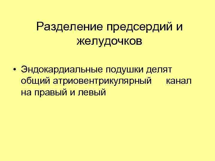 Разделение предсердий и желудочков • Эндокардиальные подушки делят общий атриовентрикулярный канал на правый и