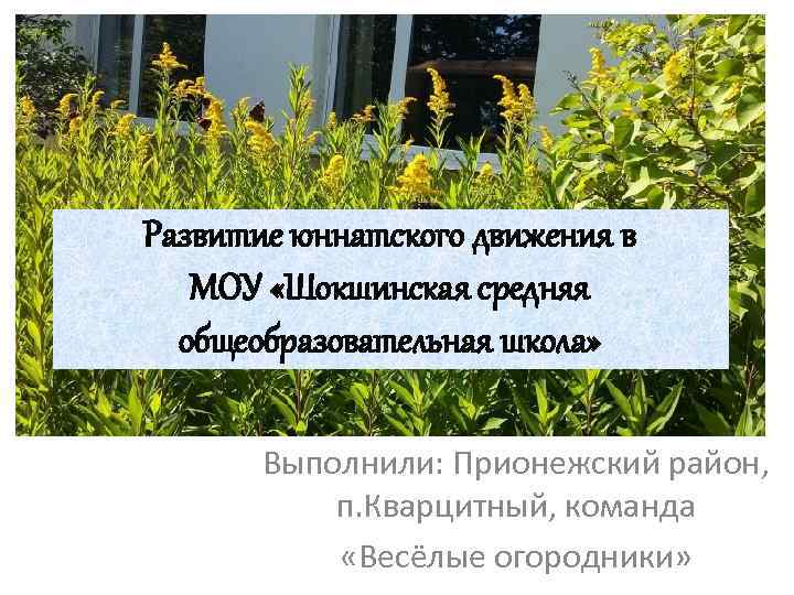 Развитие юннатского движения в МОУ «Шокшинская средняя общеобразовательная школа» Выполнили: Прионежский район, п. Кварцитный,