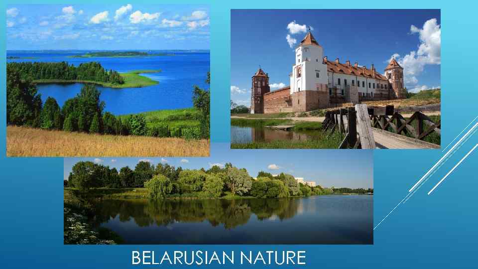 BELARUSIAN NATURE 