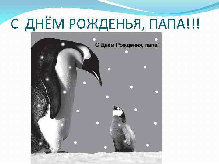 С ДНЁМ РОЖДЕНЬЯ, ПАПА!!! 