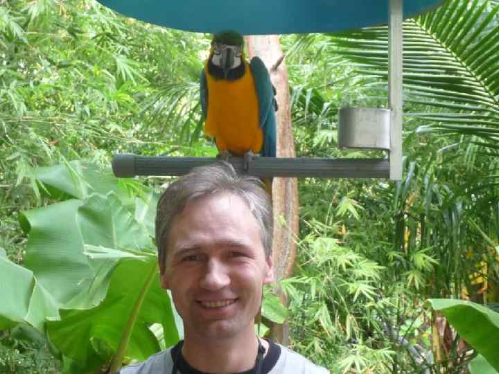 Спасибо, милый папочка, Что ты достался мне! Люблю улыбку ясную, Она как свет в