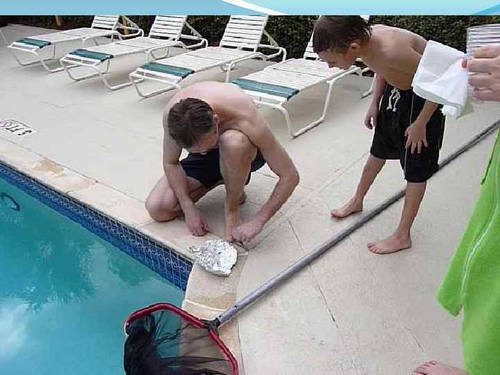 Заморим червячка? 