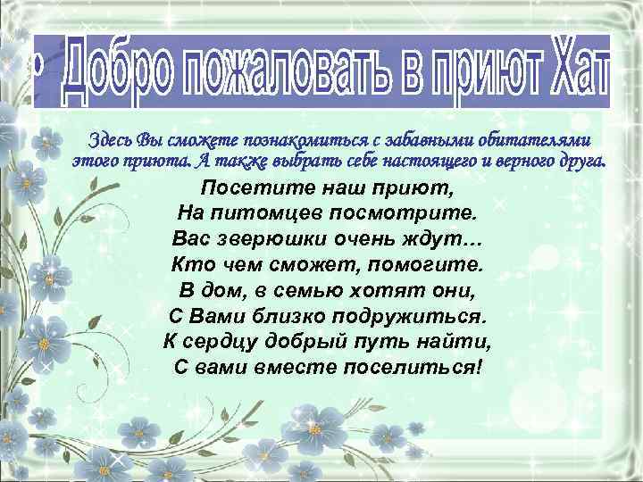 Здесь Вы сможете познакомиться с забавными обитателями этого приюта. А также выбрать себе настоящего